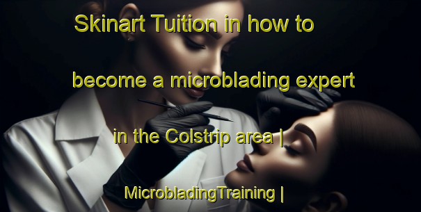 Skinart Tuition in how to become a microblading expert in the Colstrip area | MicrobladingTraining | MicrobladingClasses | SkinartTraining-United States
